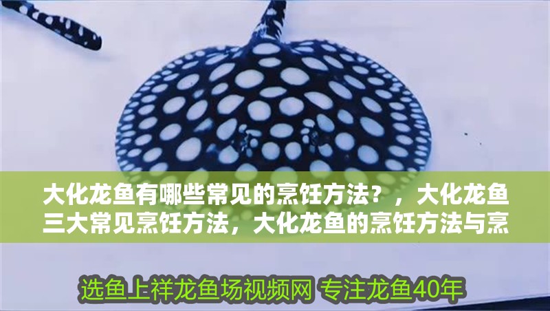 大化龍魚有哪些常見的烹飪方法？，大化龍魚三大常見烹飪方法，大化龍魚的烹飪方法與烹飪方法