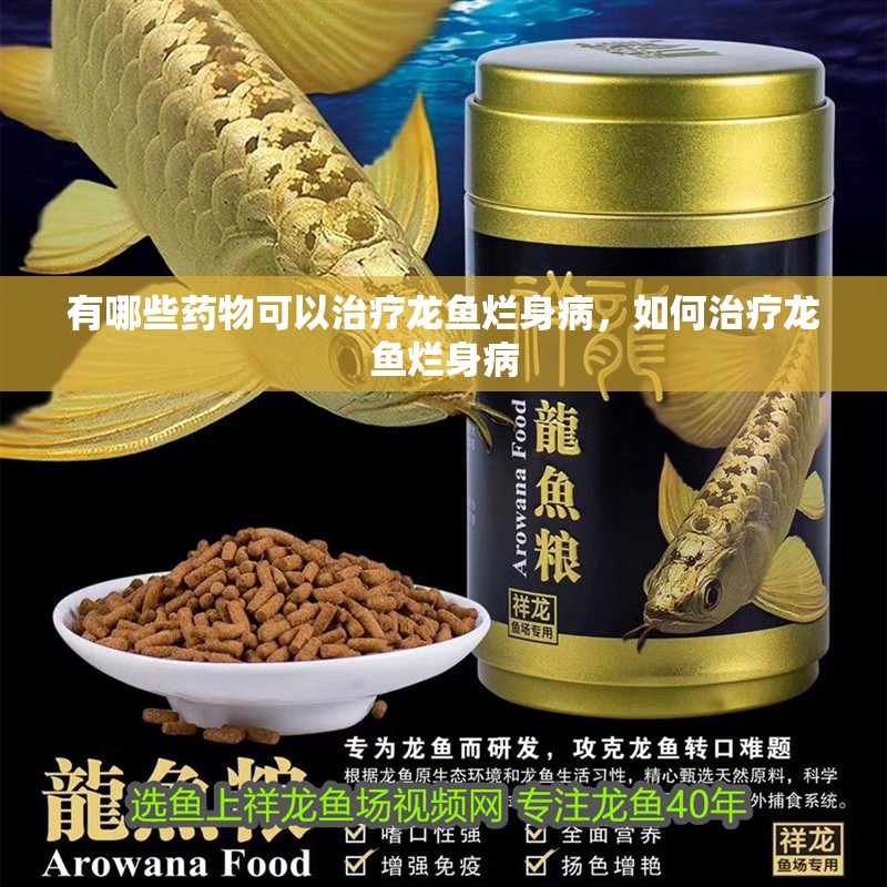 有哪些藥物可以治療龍魚爛身病，如何治療龍魚爛身病
