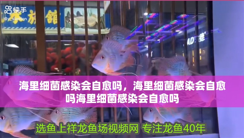 海里細菌感染會自愈嗎，海里細菌感染會自愈嗎海里細菌感染會自愈嗎