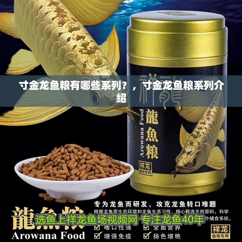 寸金龍魚糧有哪些系列？，寸金龍魚糧系列介紹