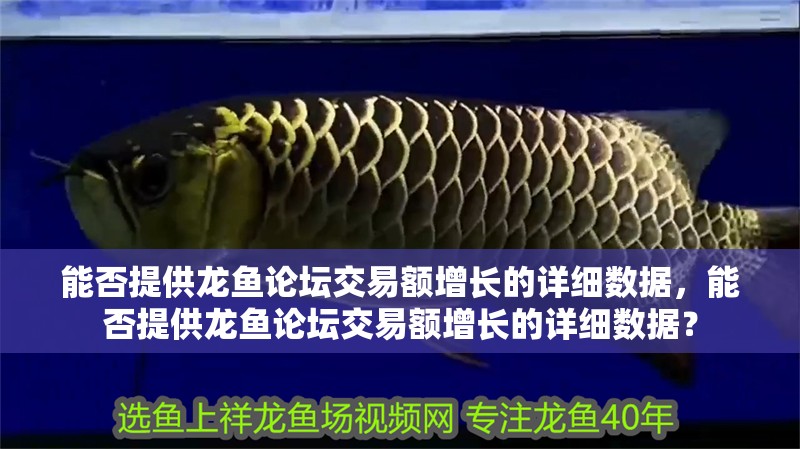 能否提供龍魚論壇交易額增長的詳細數據，能否提供龍魚論壇交易額增長的詳細數據？