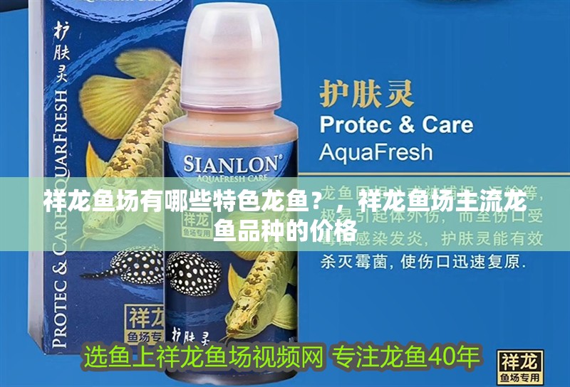 祥龍魚場有哪些特色龍魚？，祥龍魚場主流龍魚品種的價格