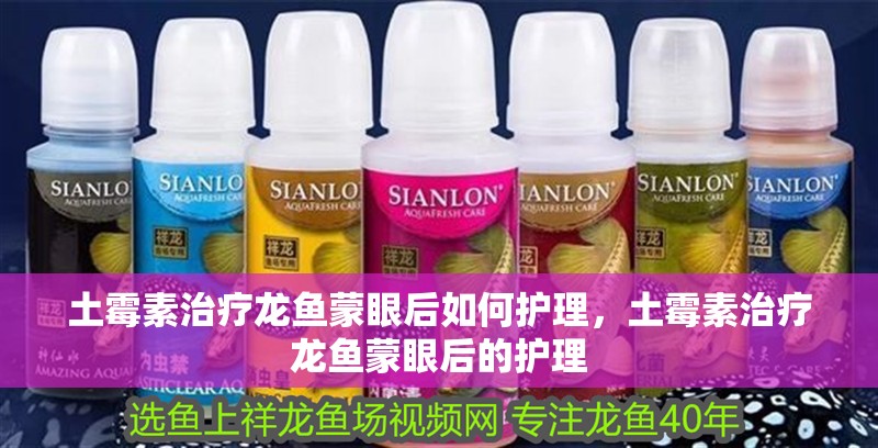 土霉素治療龍魚蒙眼后如何護理，土霉素治療龍魚蒙眼后的護理