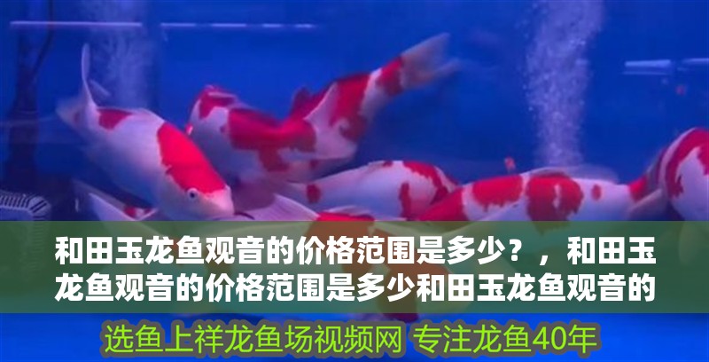 和田玉龍魚觀音的價格范圍是多少？，和田玉龍魚觀音的價格范圍是多少和田玉龍魚觀音的價格范圍是多少