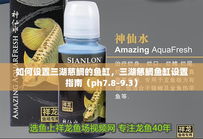 如何設置三湖慈鯛的魚缸，三湖慈鯛魚缸設置指南（ph7.8–9.3）