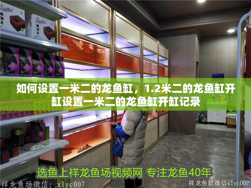 如何設置一米二的龍魚缸，1.2米二的龍魚缸開缸設置一米二的龍魚缸開缸記錄