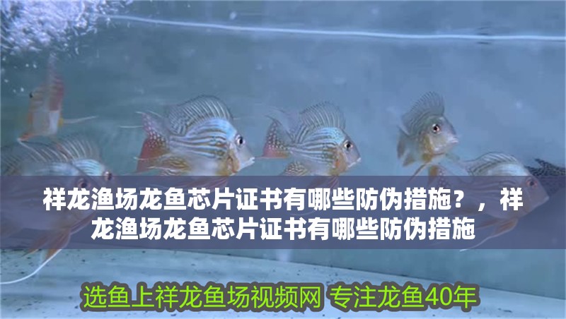 祥龍漁場龍魚芯片證書有哪些防偽措施？，祥龍漁場龍魚芯片證書有哪些防偽措施