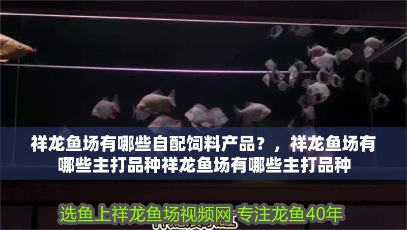 祥龍魚場有哪些自配飼料產品？，祥龍魚場有哪些主打品種祥龍魚場有哪些主打品種