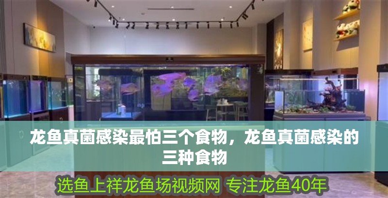 龍魚真菌感染最怕三個食物，龍魚真菌感染的三種食物