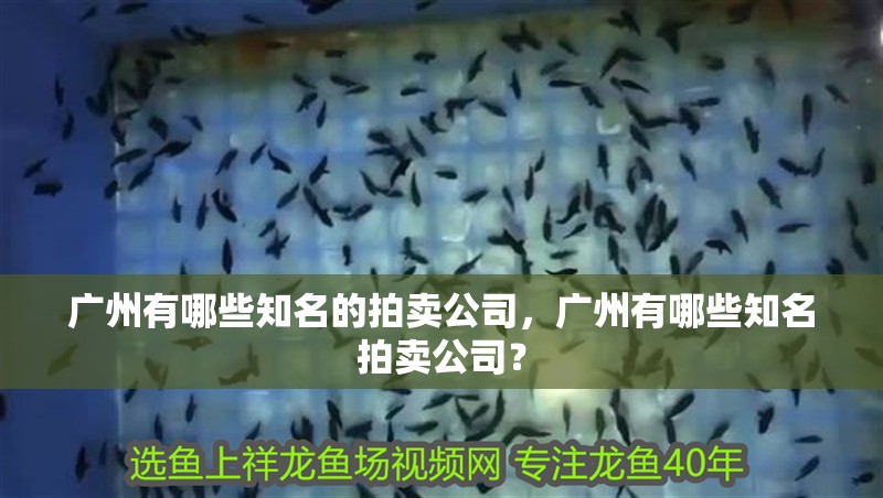 廣州有哪些知名的拍賣公司，廣州有哪些知名拍賣公司？