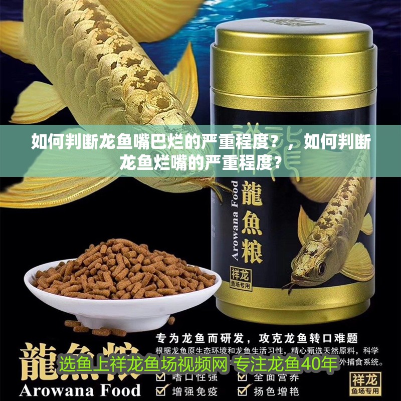 如何判斷龍魚嘴巴爛的嚴重程度？，如何判斷龍魚爛嘴的嚴重程度？