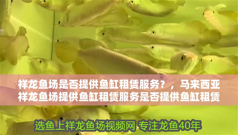 祥龍魚場是否提供魚缸租賃服務？，馬來西亞祥龍魚場提供魚缸租賃服務是否提供魚缸租賃服務