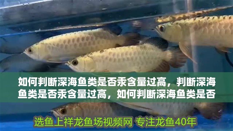 如何判斷深海魚類是否汞含量過高，判斷深海魚類是否汞含量過高，如何判斷深海魚類是否汞含量過高