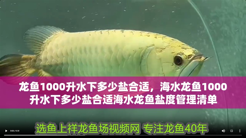 龍魚1000升水下多少鹽合適，海水龍魚1000升水下多少鹽合適海水龍魚鹽度管理清單
