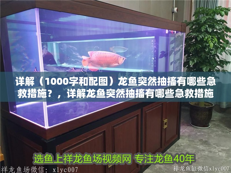 詳解（1000字和配圖）龍魚突然抽搐有哪些急救措施？，詳解龍魚突然抽搐有哪些急救措施？