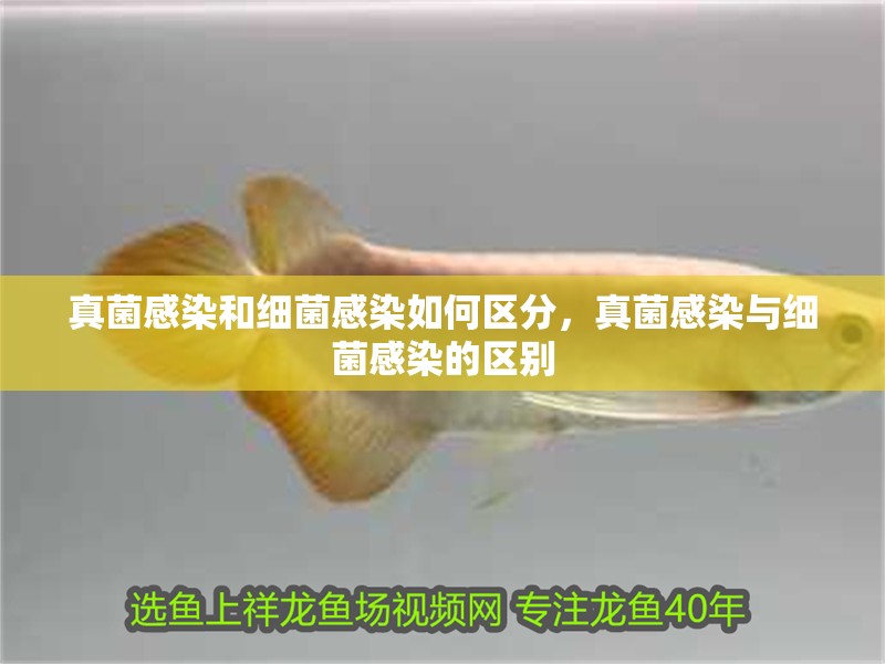 真菌感染和細(xì)菌感染如何區(qū)分，真菌感染與細(xì)菌感染的區(qū)別