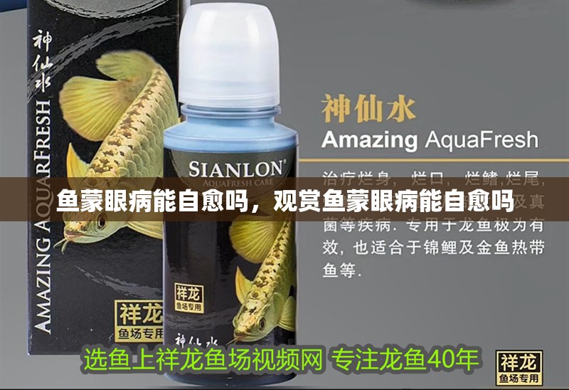 魚蒙眼病能自愈嗎，觀賞魚蒙眼病能自愈嗎