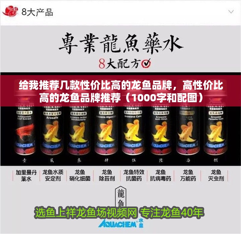 給我推薦幾款性價比高的龍魚品牌，高性價比高的龍魚品牌推薦（1000字和配圖）
