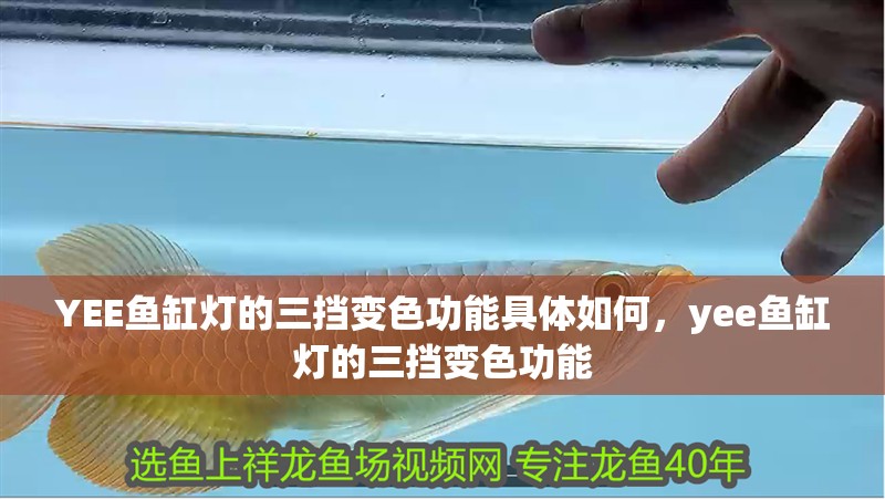 YEE魚缸燈的三擋變色功能具體如何，yee魚缸燈的三擋變色功能