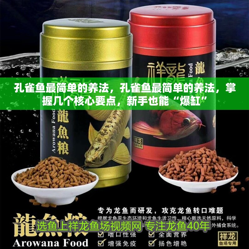 孔雀魚最簡單的養法，孔雀魚最簡單的養法，掌握幾個核心要點，新手也能“爆缸”