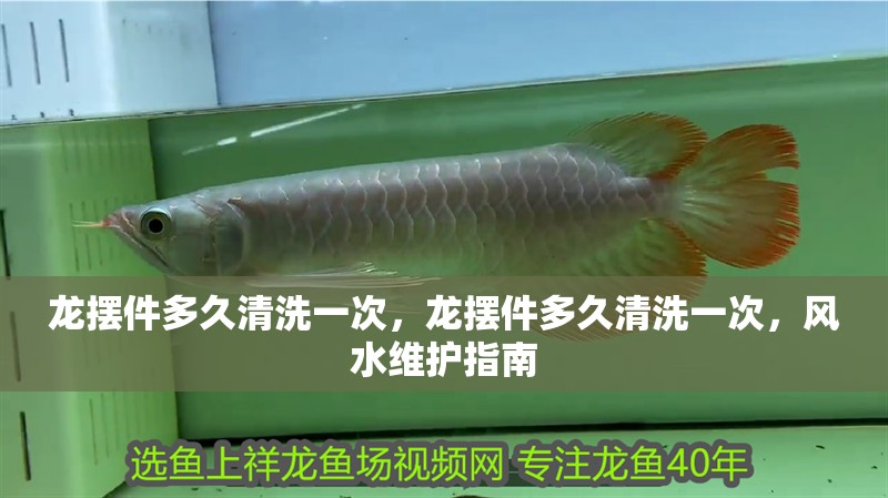 龍擺件多久清洗一次，龍擺件多久清洗一次，風(fēng)水維護(hù)指南