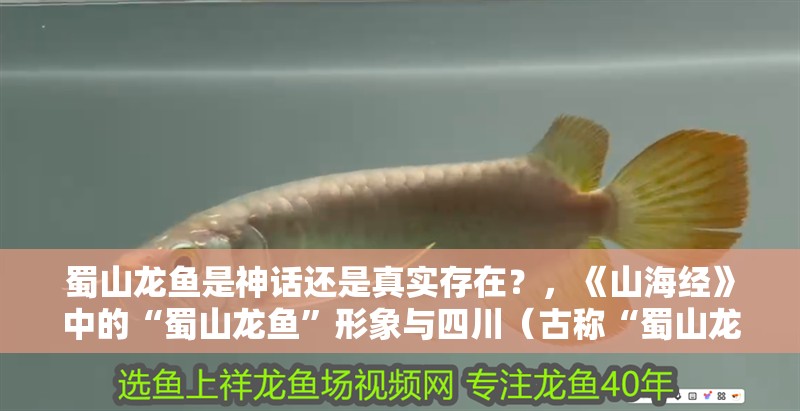 蜀山龍魚是神話還是真實存在？，《山海經(jīng)》中的“蜀山龍魚”形象與四川（古稱“蜀山龍魚”