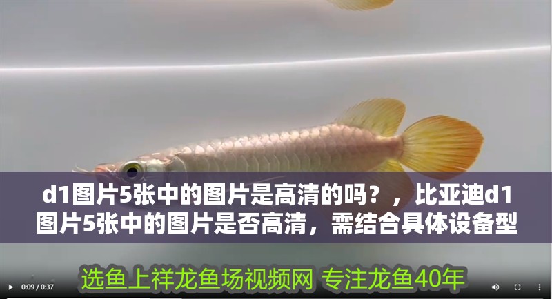 d1圖片5張中的圖片是高清的嗎？，比亞迪d1圖片5張中的圖片是否高清，需結合具體設備型號和圖片來源綜合判斷
