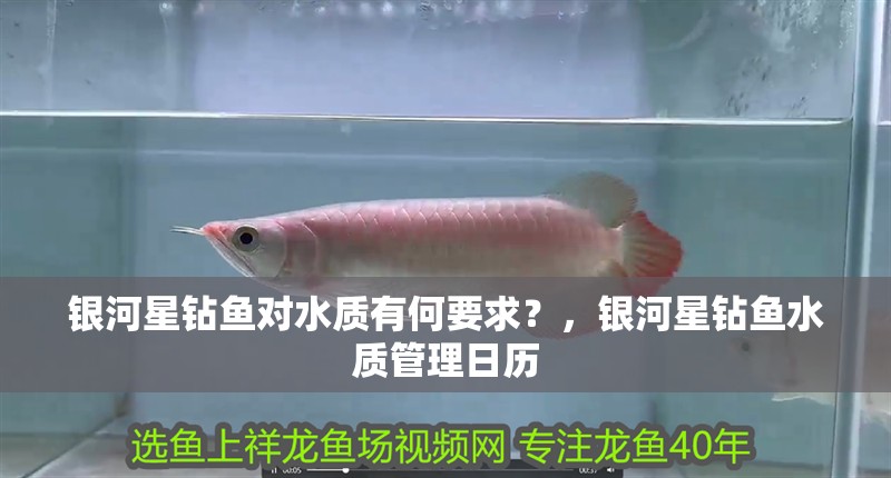 銀河星鉆魚對水質(zhì)有何要求？，銀河星鉆魚水質(zhì)管理日歷