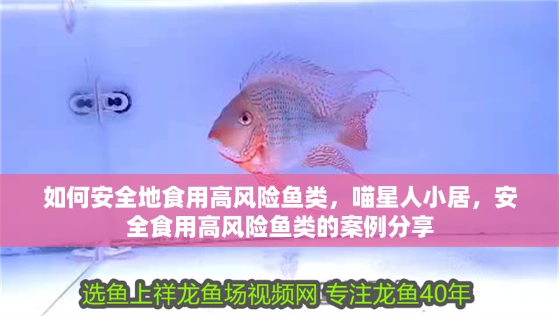 如何安全地食用高風險魚類，喵星人小居，安全食用高風險魚類的案例分享