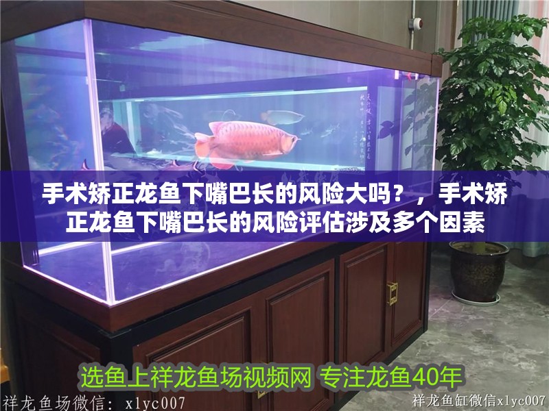 手術矯正龍魚下嘴巴長的風險大嗎？，手術矯正龍魚下嘴巴長的風險評估涉及多個因素