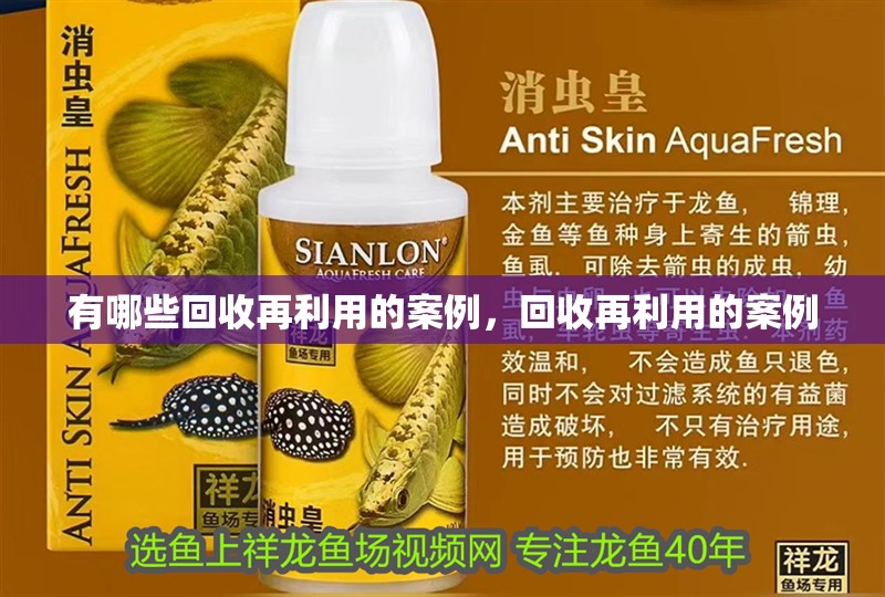 有哪些回收再利用的案例，回收再利用的案例