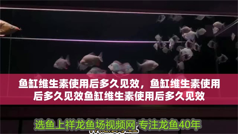 魚缸維生素使用后多久見效，魚缸維生素使用后多久見效魚缸維生素使用后多久見效