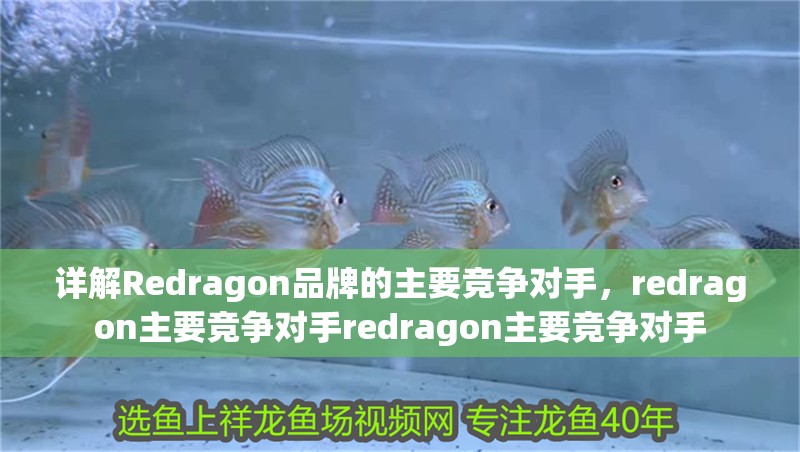 詳解Redragon品牌的主要競爭對手，redragon主要競爭對手redragon主要競爭對手