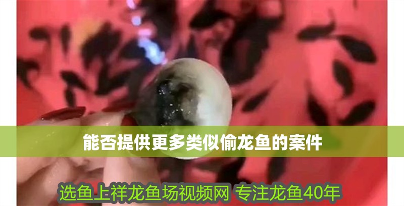 能否提供更多類似偷龍魚的案件