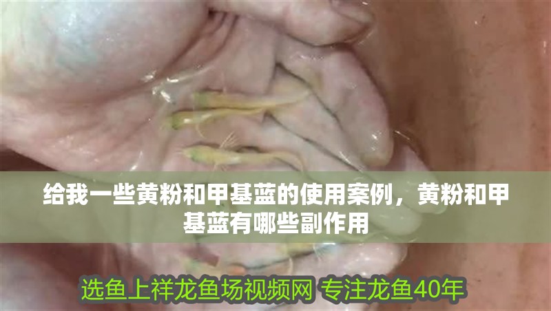 給我一些黃粉和甲基藍的使用案例，黃粉和甲基藍有哪些副作用