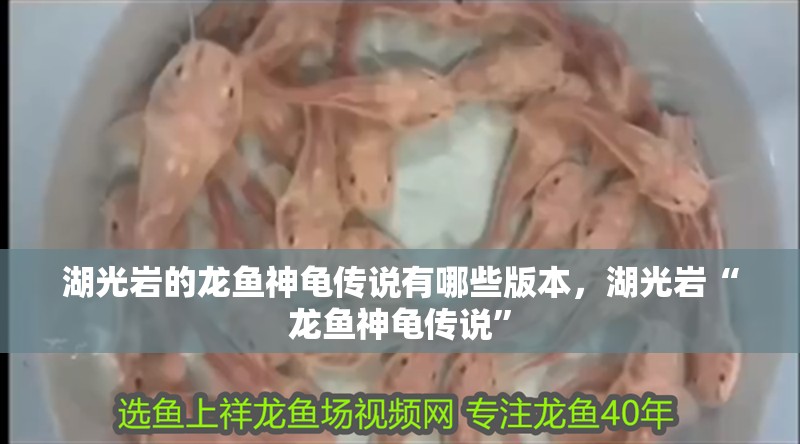 湖光巖的龍魚神龜傳說有哪些版本，湖光巖“龍魚神龜傳說”