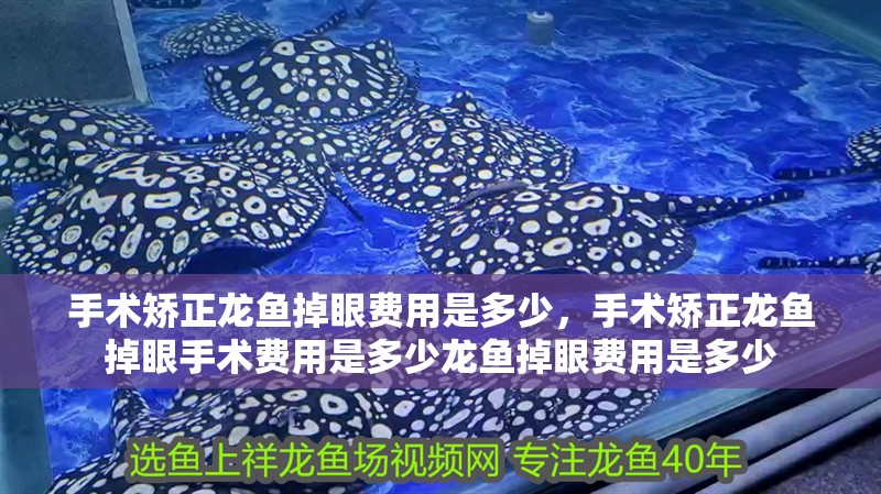手術(shù)矯正龍魚掉眼費用是多少，手術(shù)矯正龍魚掉眼手術(shù)費用是多少龍魚掉眼費用是多少
