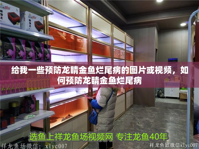 給我一些預防龍睛金魚爛尾病的圖片或視頻，如何預防龍睛金魚爛尾病
