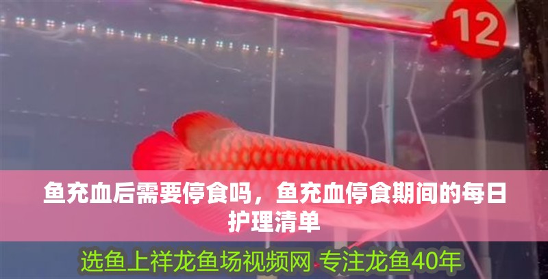 魚(yú)充血后需要停食嗎，魚(yú)充血停食期間的每日護(hù)理清單