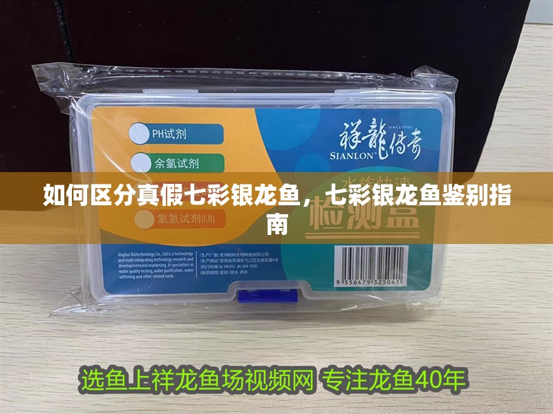如何區分真假七彩銀龍魚，七彩銀龍魚鑒別指南