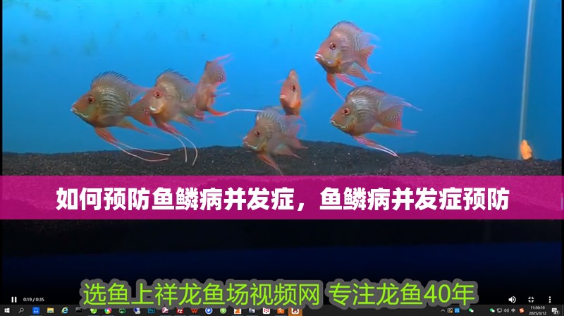 如何預防魚鱗病并發癥，魚鱗病并發癥預防
