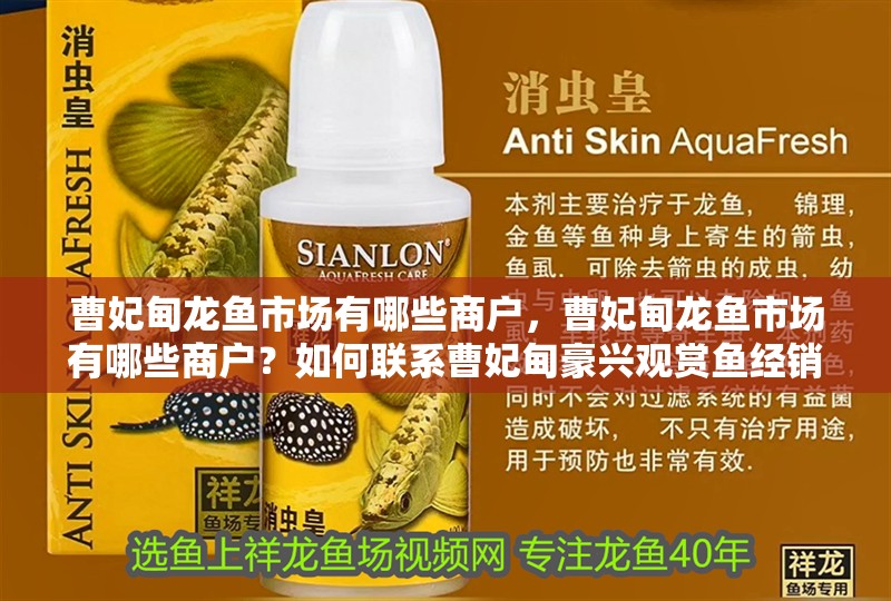 曹妃甸龍魚市場有哪些商戶，曹妃甸龍魚市場有哪些商戶？如何聯(lián)系曹妃甸豪興觀賞魚經銷處？