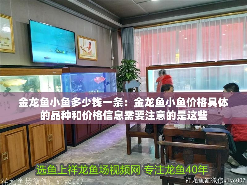 金龍魚小魚多少錢一條：金龍魚小魚價格具體的品種和價格信息需要注意的是這些