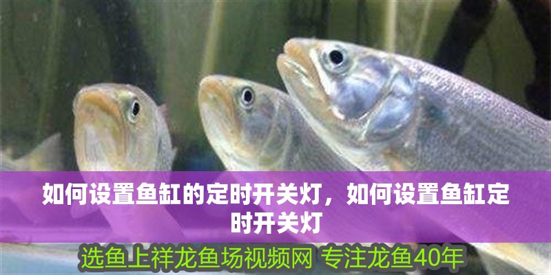 如何設(shè)置魚缸的定時(shí)開關(guān)燈，如何設(shè)置魚缸定時(shí)開關(guān)燈