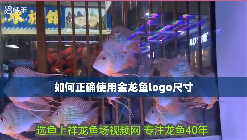 如何正確使用金龍魚logo尺寸