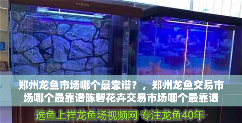 鄭州龍魚市場哪個最靠譜？，鄭州龍魚交易市場哪個最靠譜陳砦花卉交易市場哪個最靠譜