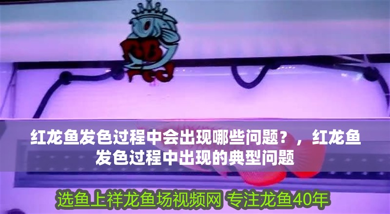 紅龍魚發(fā)色過程中會出現哪些問題？，紅龍魚發(fā)色過程中出現的典型問題