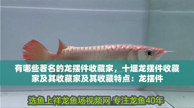 有哪些著名的龍擺件收藏家，十堰龍擺件收藏家及其收藏家及其收藏特點：龍擺件