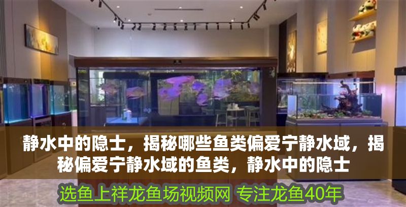 靜水中的隱士，揭秘哪些魚類偏愛寧靜水域，揭秘偏愛寧靜水域的魚類，靜水中的隱士