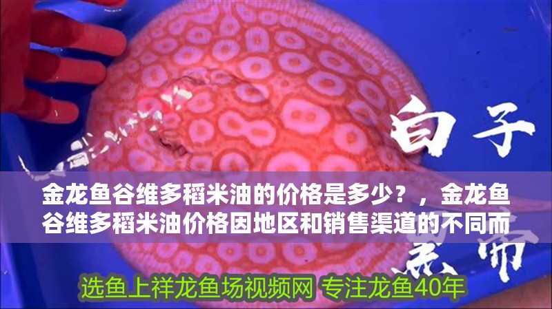 金龍魚(yú)谷維多稻米油的價(jià)格是多少？，金龍魚(yú)谷維多稻米油價(jià)格因地區(qū)和銷(xiāo)售渠道的不同而有所差異